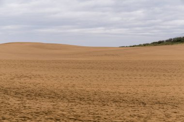 Tottori kum tepeleri Japonya'da 