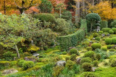 güzel sonbahar park 