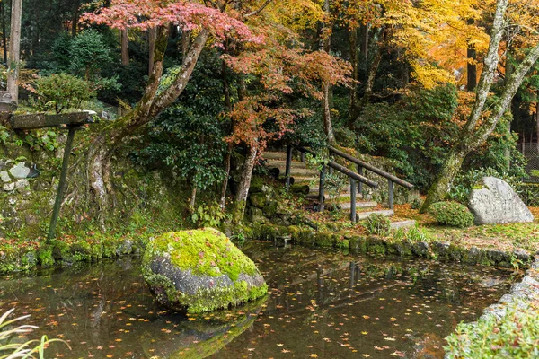 Templo japonés en temporada de otoño —  Fotos de Stock
