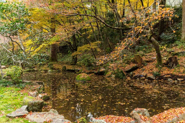 Giardino giapponese nella stagione autunnale — Foto Stock