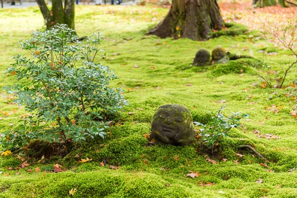 Japanese temple in autumn — Stock Photo, Image