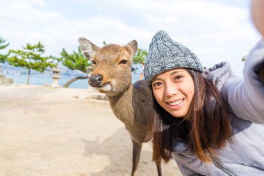 Kadın takign selfie Itsukushima geyik ile