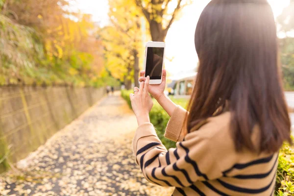 Frau mit Handy im Park mit herbstlichem Ginkgo-Baum — Stockfoto