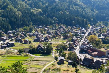 Japonya'nın Shirakawago Köyü
