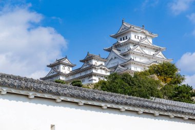 Japonya'nın geleneksel Himeji Kalesi 
