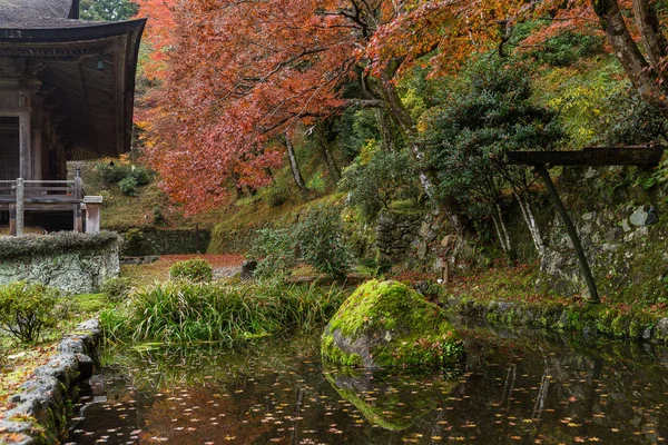 Japanese temple in autumn season — Stock Photo, Image