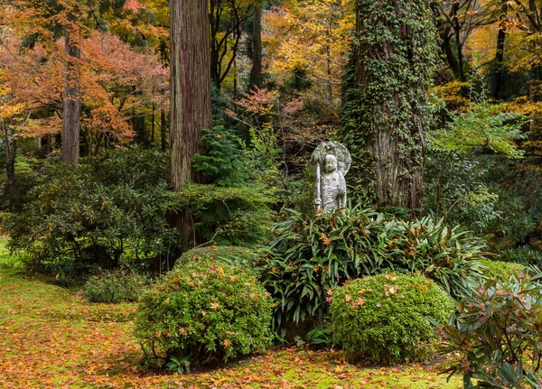 Japanese garden in autumn season — Stock Photo, Image