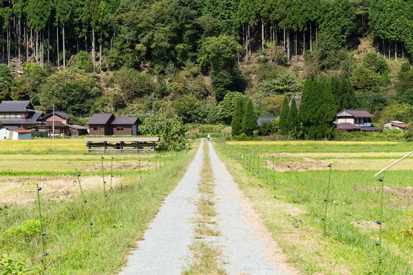 Natuurlijke landschap in Japan — Stockfoto