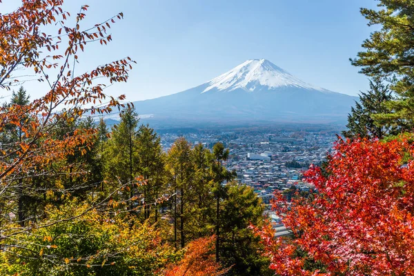 Érable et Mont Fuji — Photo