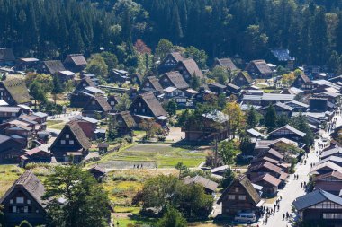 Japonya'nın geleneksel Shirakawago Köyü 