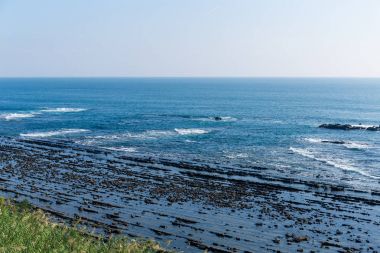 Aoshima Island sahil Japonya'da