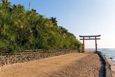 Aoshima tapınak Japonya'da