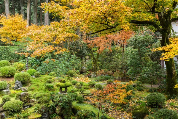 Parque japonês com árvores de bordo coloridas — Fotografia de Stock
