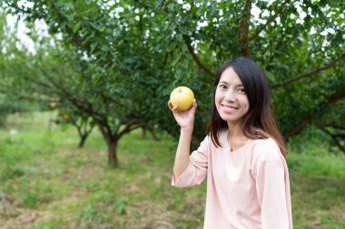 Kadın bir armut bir grupta toplama