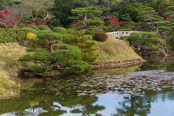 Japonés hermoso jardín — Foto de Stock