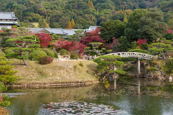 Sonbahar mevsiminde Japon bahçesi — Stok fotoğraf