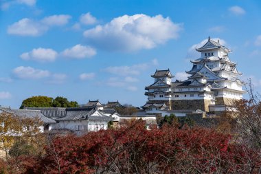 Japon Himeiji Kalesi ve maple ağaçlar