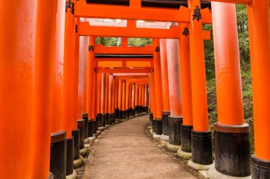 Fushimi Inari Shrine in Kyoto clipart