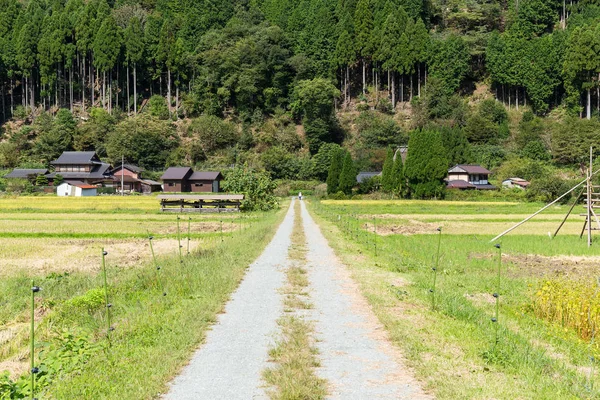 田んぼと山 — ストック写真