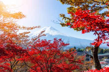 Mount Fuji and red maple trees clipart