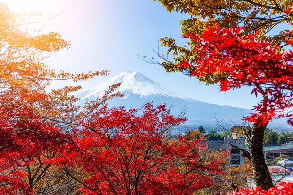 Mont Fuji et érables rouges — Photo