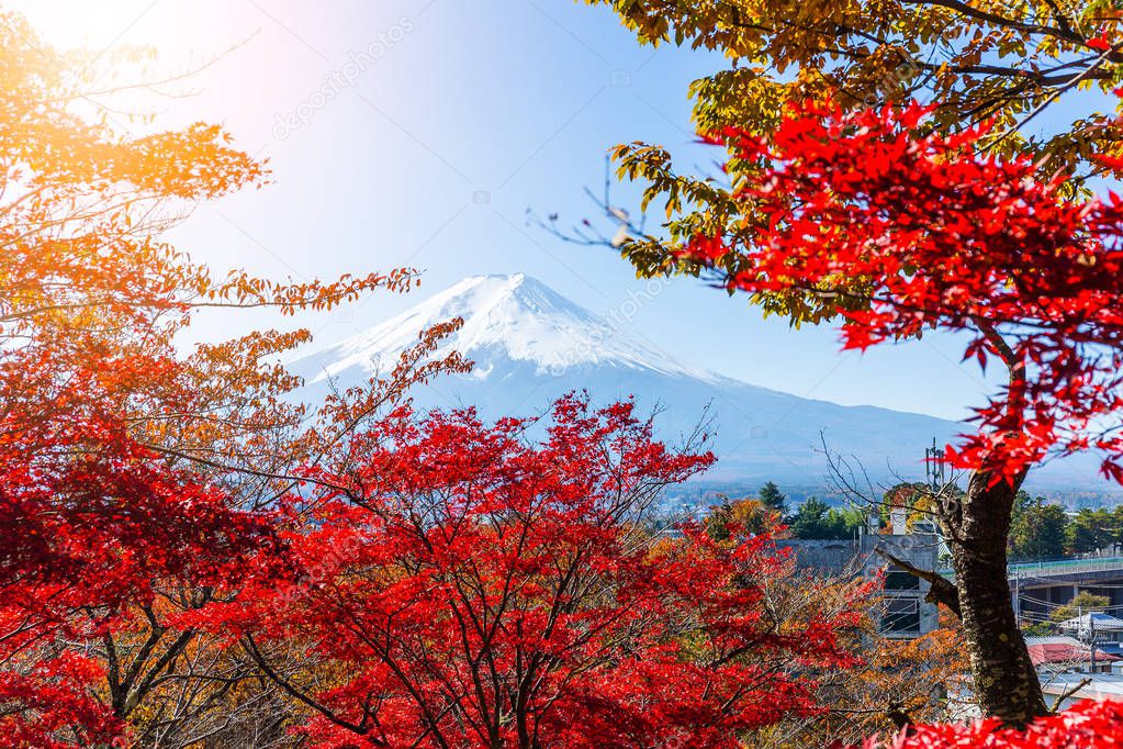 Mount Fuji and red maple trees