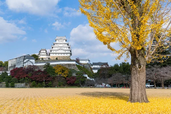 Himeji Castle with yellow ginkgo tree