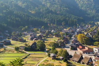 Japon Shirakawago Köyü 