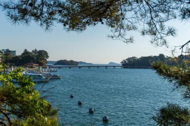 Japonya güzel Matsushima Adaları 