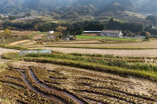 Campagne au Japon à l'automne — Photo