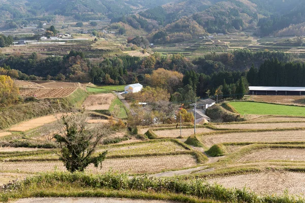 Sonbahar sezonu, Japonya'nın kırsal — Stok fotoğraf