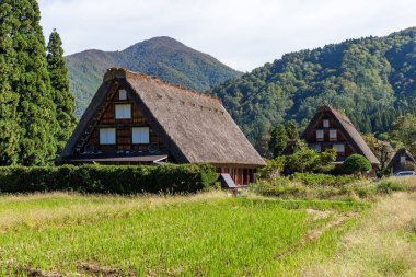 Orman köyde Shirakawa