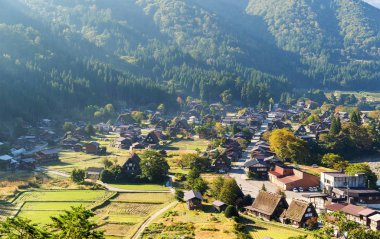 Japonya'da Shirakawa-go Köyü