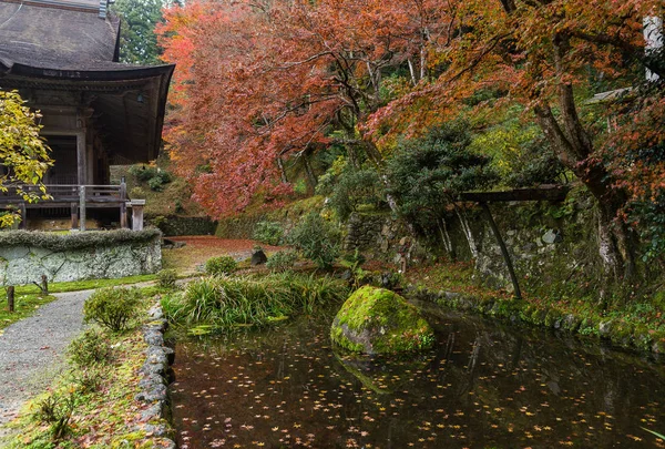 Japanese garden in autumn season — Stock Photo, Image