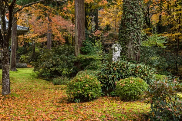 Beautiful Japanese garden with maple trees — Stock Photo, Image