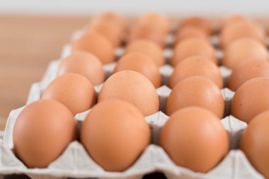 Paket içinde taze tavuk yumurta 