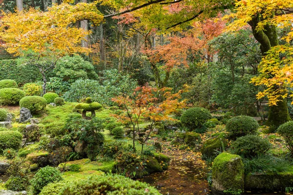 Hermoso jardín japonés en otoño — Foto de Stock