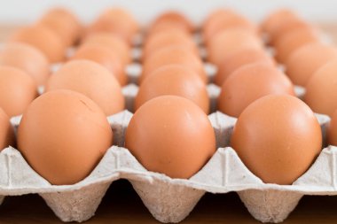 Paket içinde taze tavuk yumurta 