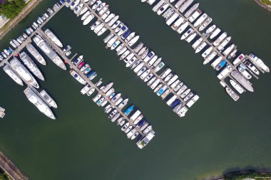 Tayfun barınak tuen mun 