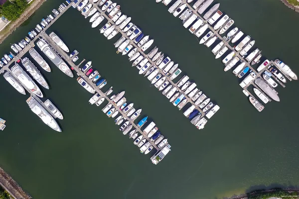 Tayfun barınak tuen mun 