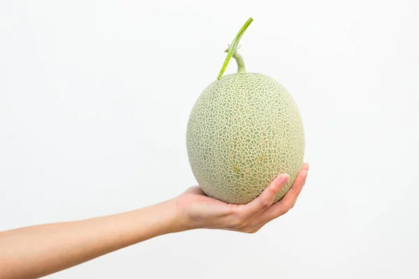 Hand holding melon — Stock Photo, Image