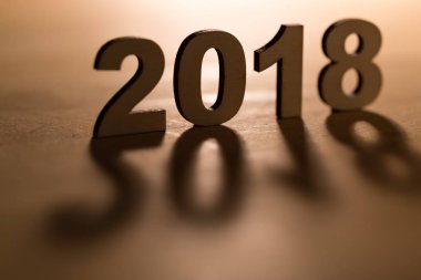 2018 aydınlatmalı yılı 