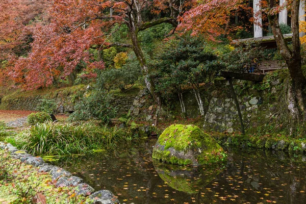 秋天的日本花园 — 图库照片
