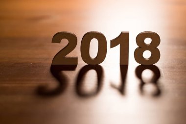 2018 aydınlatmalı yılı 