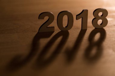 2018 aydınlatmalı yılı 
