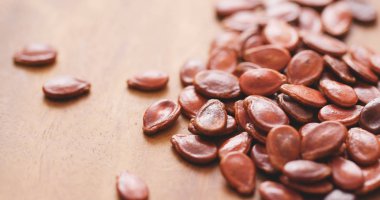 Kuru kırmızı karpuz tohumu