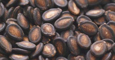 Siyah karpuz Çin yeni yılı için