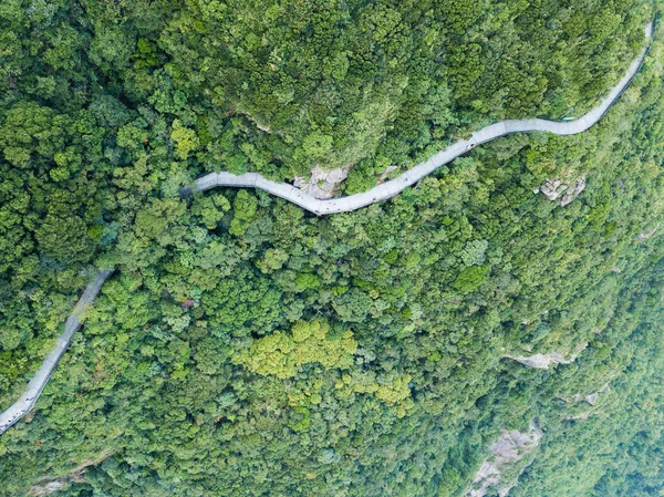 Vista Dall Alto Dell Autostrada Nella Foresta — Foto Stock