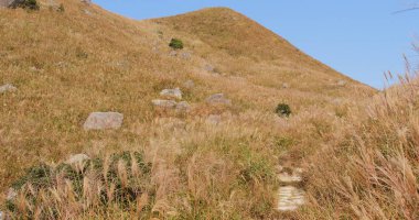 Güzel gün batımı tepe Güz