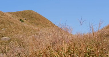 Güzel gün batımı tepe ve mavi gökyüzü